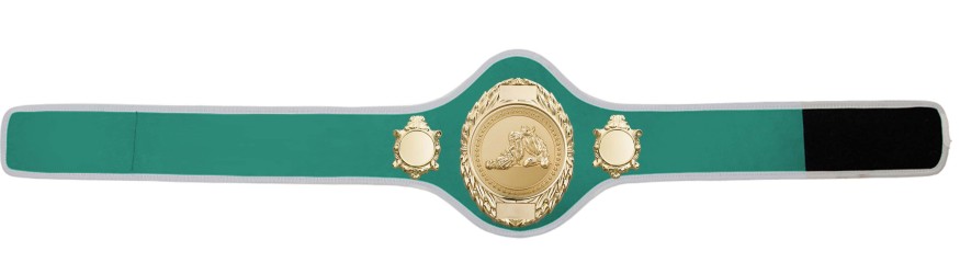 JIU JITSU CHAMPIONSHIP BELT-PRO286/G/JJG-10+ COLOURS